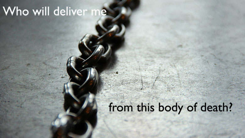Thumbnail Image 1